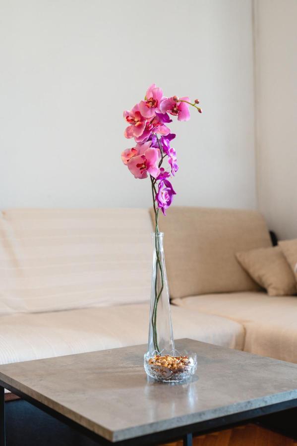 City Vibe & Free Garage Split Ngoại thất bức ảnh